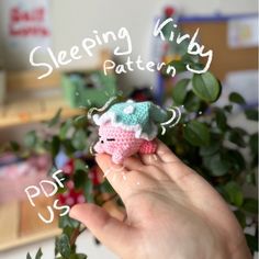 a hand holding a tiny crocheted animal in it's left hand with the words sleeping king written above it