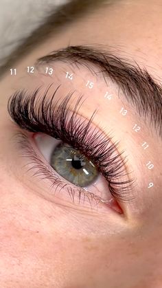 Dramatic Hybrid Lash Extensions, Eyelash Extensions With Numbers, Lash Maps Hybrid, Eyelash Extensions Numbers, Lash Extensions Layout, 13mm Lash Extensions, Eyelash Extensions Styles With Numbers, D Curl Lash Extensions Mapping, Mega Volume Mapping