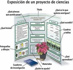 an open brochure showing the parts of a plant and its names in spanish