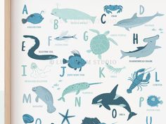 an animal alphabet poster with sea animals and letters