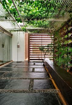 an indoor garden with plants growing on the walls and floor, surrounded by stone tiles