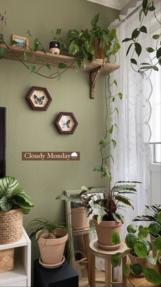 a living room filled with lots of potted plants next to a wall mounted tv