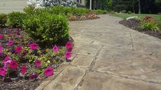 a sidewalk with flowers and bushes in front of a house