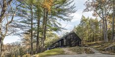 a black cabin in the woods surrounded by trees