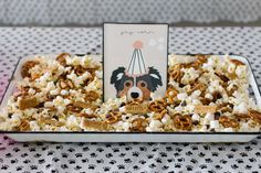 a dog is sitting in the middle of a tray of popcorn