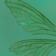 the underside of a butterfly wing flying through the air