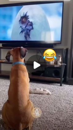 a brown dog sitting in front of a tv with an animated avatar on it's screen