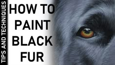 an image of a dog with the words how to paint black fur