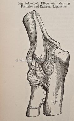 an old book with a diagram of the knee