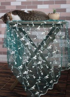 a cat that is laying down on top of a table with a net over it