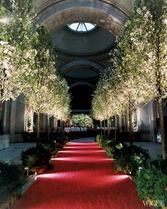 an image of a red carpeted walkway with trees on each side and the word voge above it