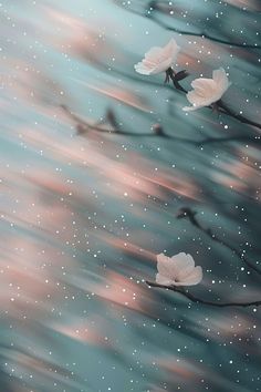 two white flowers floating on top of water with stars in the sky behind them,