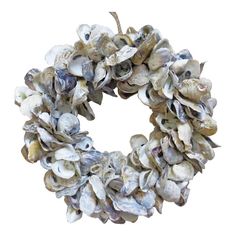 a wreath made out of seashells on a white background