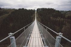 an aerial view of a suspension bridge in the middle of a forest with trees on both sides