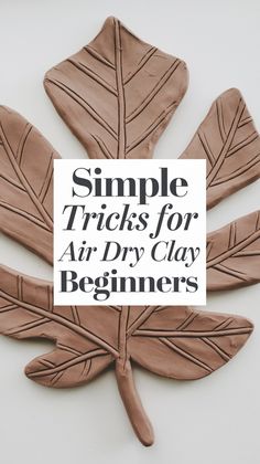 the words simple tricks for air dry clay beginners on top of an image of leaves