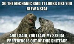 Best car meme ever. Army Mechanic, The Mechanic, Humor Inappropriate, Funny Captions, Funny Animal Pictures, You Smile, Bones Funny, Seals