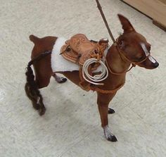 a small brown dog with a saddle on it's back standing in a room