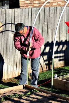 an older man is working in the garden with two red stars hanging from it's poles