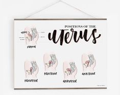 Spinal Column Vertebrae Anatomy Poster 18 X 24 | Etsy Novelty Sign