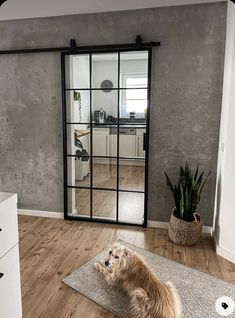 a dog laying on the floor in front of a glass door that leads to a kitchen