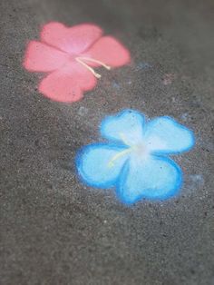 two blue and pink flowers are on the ground next to each other with chalk paste