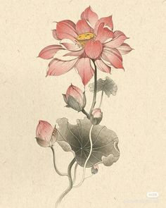 a drawing of a pink flower with leaves