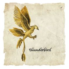 a drawing of a bird with its wings spread out and the words thunder written on it