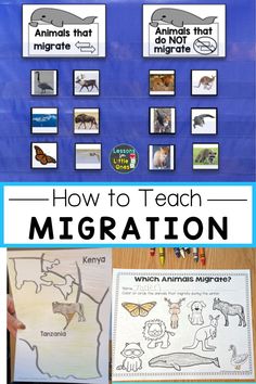 an image of how to teach migrating animals