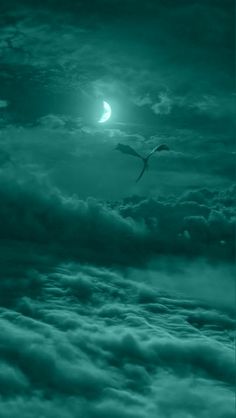 a bird flying in the sky at night with a full moon behind it and clouds below