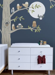 a baby's nursery room with an owl tree wall decal