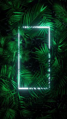 a square neon frame surrounded by palm leaves on a black background with green light in the middle