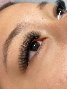 Vicky lash 3d Lash, Eyelash Extension Astethic, Eyelash Extension Photography, 3d Lash Extensions Cat Eye, Whisky Volume Lash Extensions, Lash Extensions Russian, Brow Lash, 3d Lashes