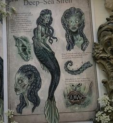 a poster with an image of a mermaid and other sea creatures on it's back