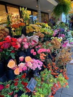 many different types of flowers are on display