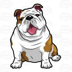 a brown and white dog sitting down with its tongue out