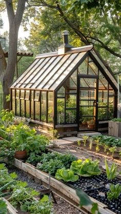 a small greenhouse with lots of plants growing in the ground and on top of it