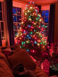 a living room with a christmas tree decorated in multicolored lights and a cat sleeping on the couch