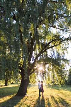 two people standing under a large tree in the grass with sun shining down on them