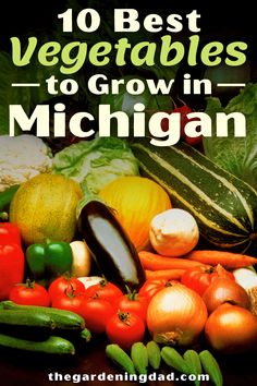 an image of vegetables with the title 10 best vegetables to grow in michigan on it