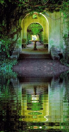 an archway leading into a lush green forest filled with trees and bushes next to a body of water