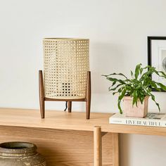 a potted plant sitting on top of a wooden shelf