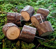 several pieces of wood sitting on top of green moss