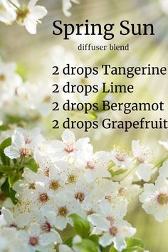 Spring Diffuser Blends, Essential Oil Perfumes Recipes, Essential Oil Combinations, Doterra Essential Oils Recipes, Essential Oil Remedy, Essential Oil Diffuser Blends Recipes, Young Living Essential Oils Recipes, Essential Oils Guide, Essential Oil Diffuser Recipes