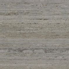 an animal standing on top of a sandy beach