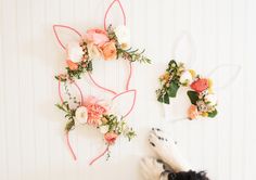 a dog laying on its back in front of some flowers and hair clips hanging from the wall