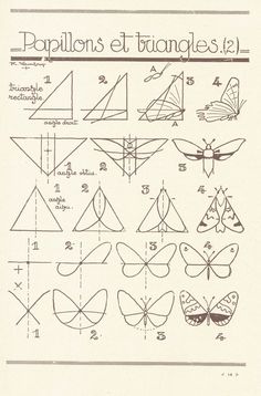 an old book with diagrams and pictures of different types of butterflies on it's pages