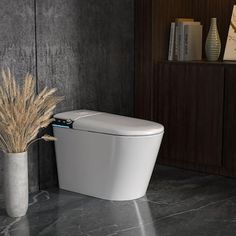 a white toilet sitting in a bathroom next to a vase with dry grass on it