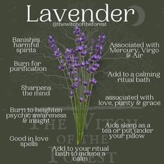 Calming Rituals, Witch Herbs, Lavender Benefits, Magic Herbs, Herbal Healing, Home Health Remedies, Herbal Magic, Herbs For Health, Spirit Dolls