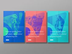 three colorful brochures on a gray background, with the same color as each other