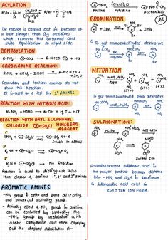 an exercise sheet with the names and symbols for different types of vitamins, including